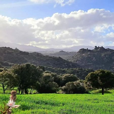 Casa Verdi Telti Dış mekan fotoğraf